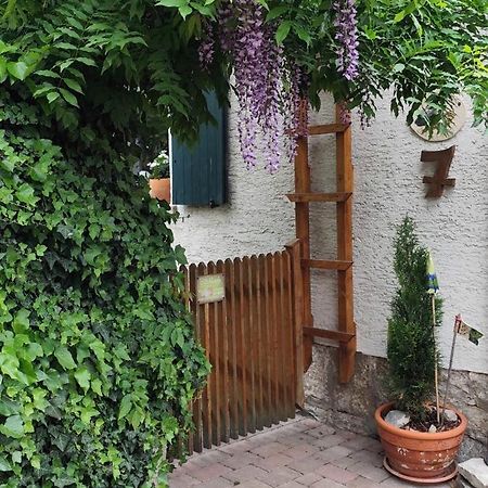 Ferienwohnung Geiernest Ochsenfurt Dış mekan fotoğraf