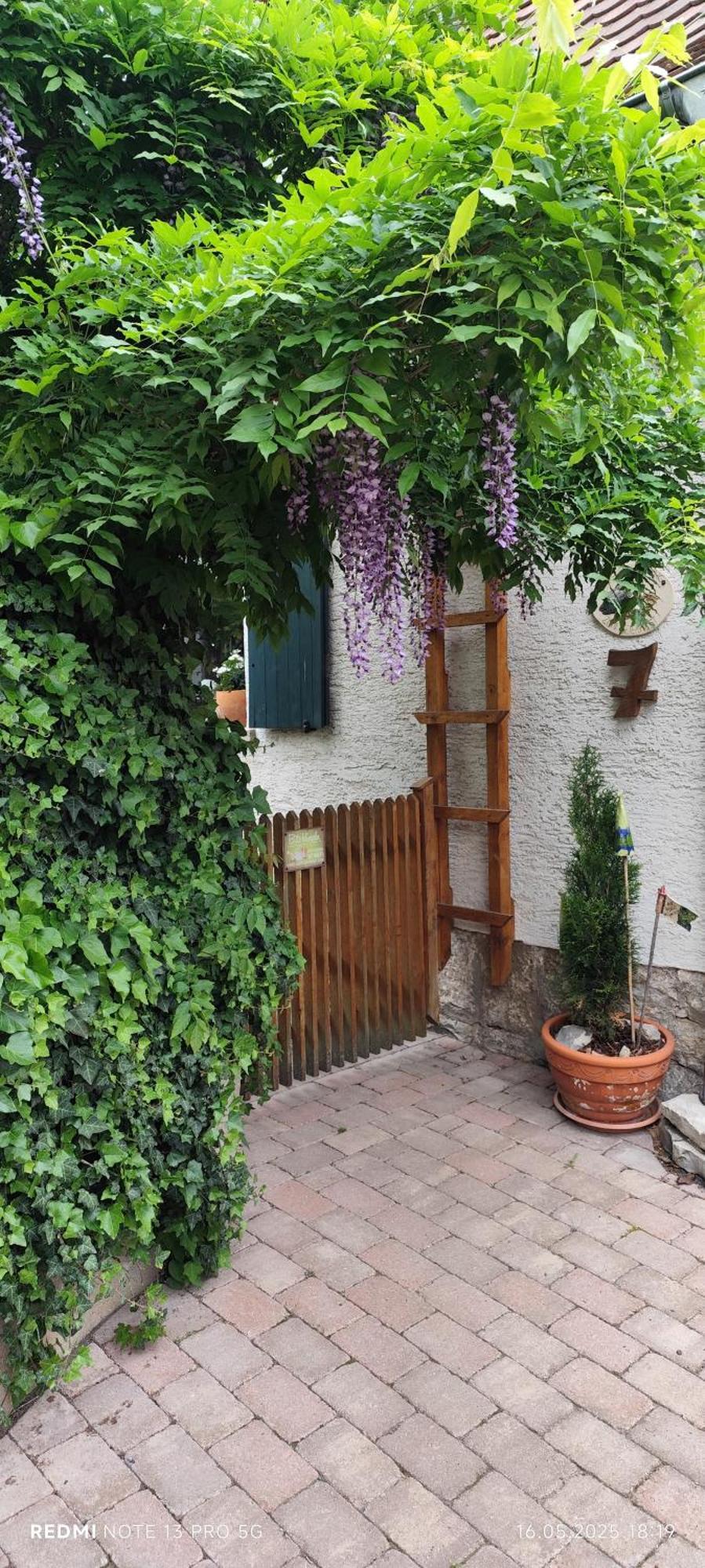 Ferienwohnung Geiernest Ochsenfurt Dış mekan fotoğraf